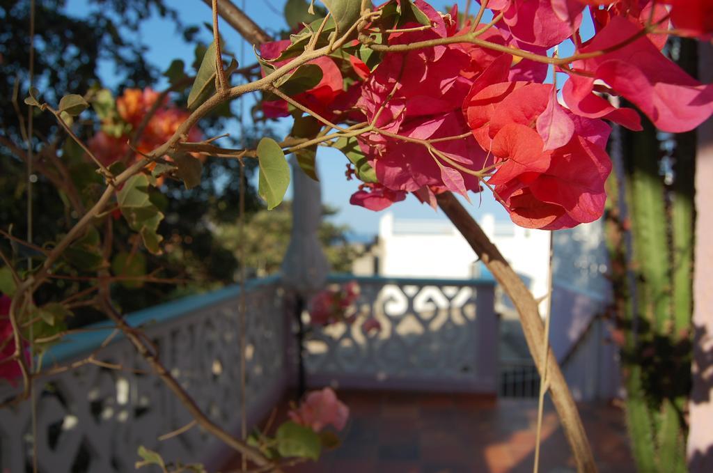 Casa Bella Mya Hotel Taganga Eksteriør billede